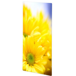 Обігрівач склокерамічний HGlass IGH 5010 F Premium V